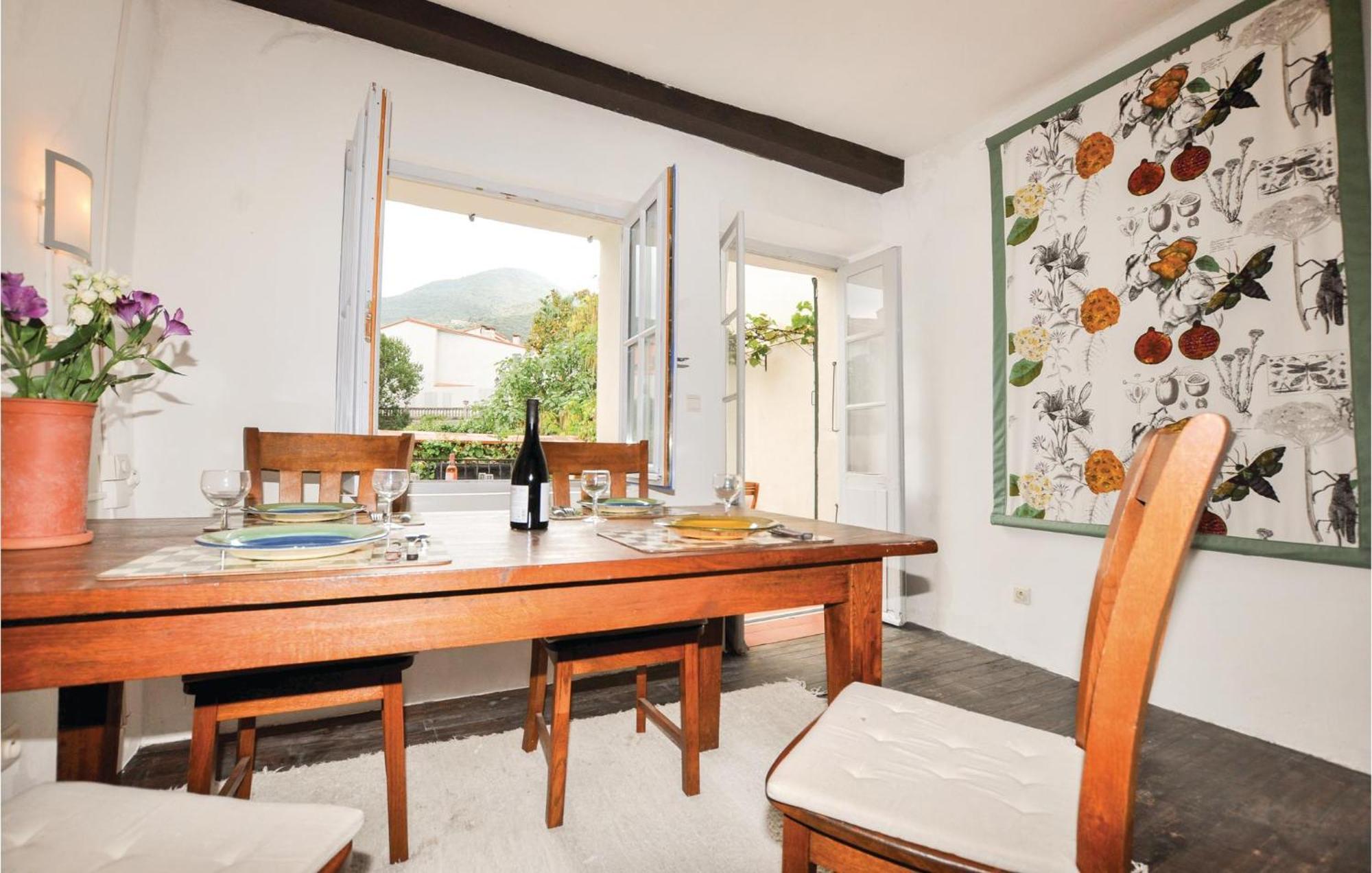 Amazing Home In Ceret With Wifi Zewnętrze zdjęcie